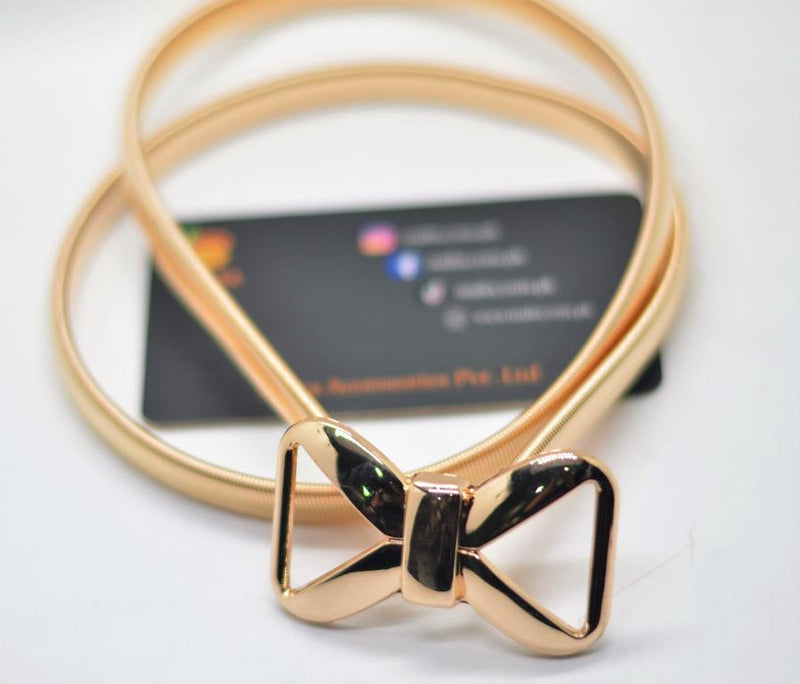 Metallic Belt